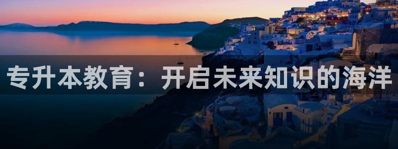 安信证券手机壳12