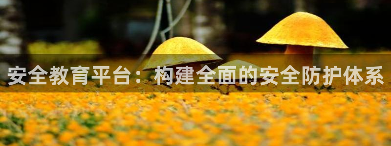 安信12平台介绍