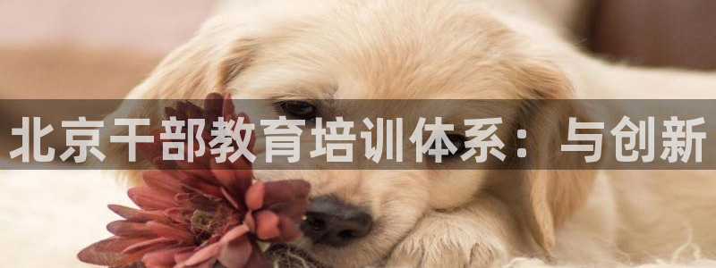 安信12是正规平台吗