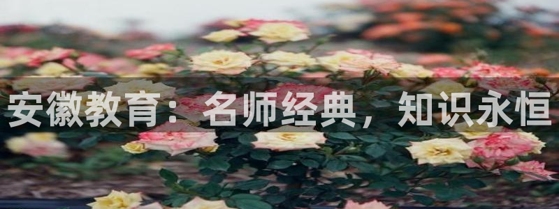 安信12如何开代理