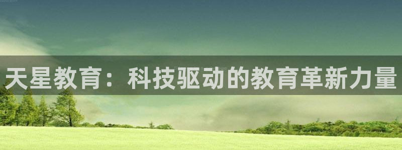 安信12专用挂机