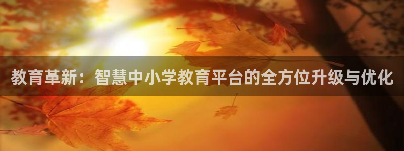 安信12是做什么