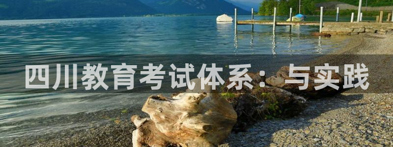 安信12是正规还是仿