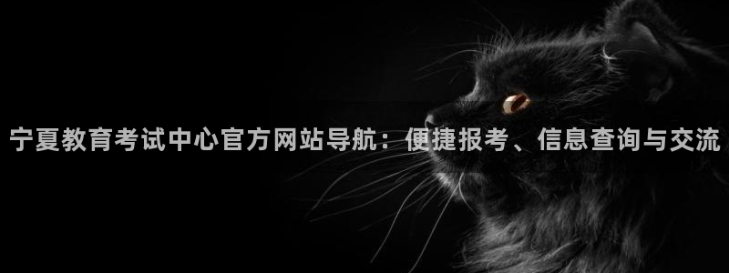 安信12是什么软件