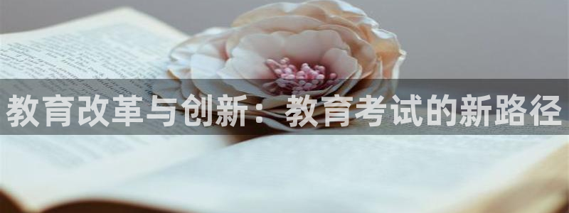 安信12是做什么