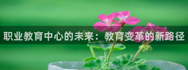 安信12娱乐代理