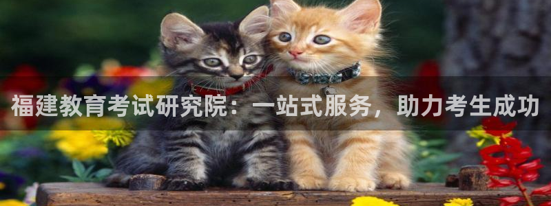 如何注销安信12软件