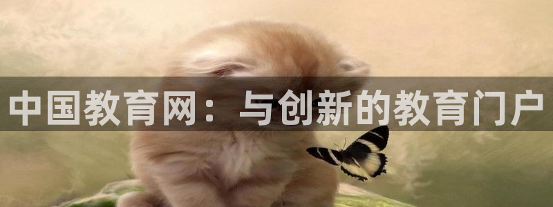 安信主管su金12手12指tq