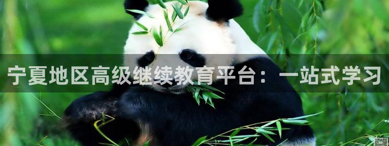 安信12软件介绍