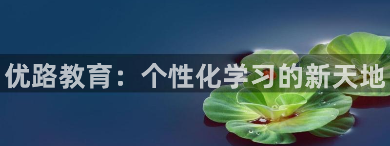 安信12是正规还是仿