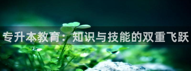 安信12平台介绍