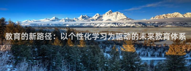 安信12是正规还是仿