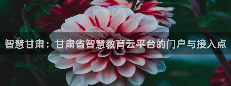 安信12是什么平台