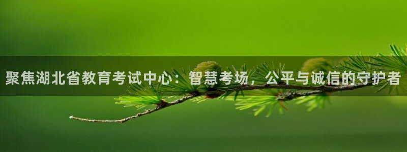 安信12软件介绍